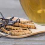 cordyceps-benefits-1296x728-feature